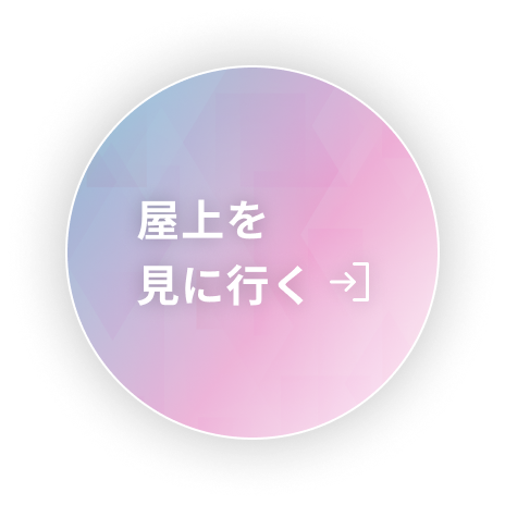 屋上を見に行く